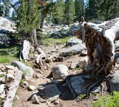The final climb up to Dardanneles Lake was a big rough, but not for long Big Meadow trail towards Dardanelles Lake