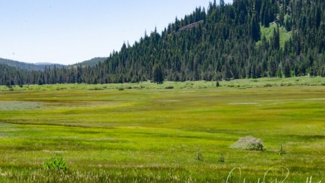 Looking across a fen into the valley Carpenter Valley