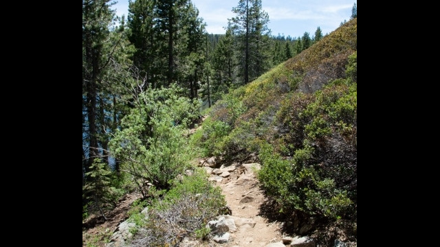 Fall Creek Mountain is to the right (west), exposed and rocky. No flowers this time, it might be worth exploring at other times Crooked Lakes trail along Island Lake.