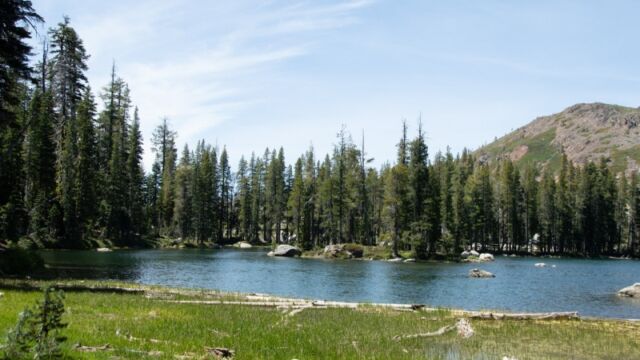 This lake will flow into Island Lake. Fall Creek Mountain in the background. The Crooked Lakes trail runs north from here, and there were Fawn Lillies still blooming at the turn Near Island Lake
