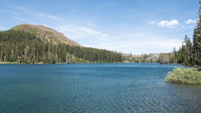 The trail runs along this lake, then you take a north turn to go along Island Lake and the mountain Feeley Lake with Fall Creek Mountain in the background