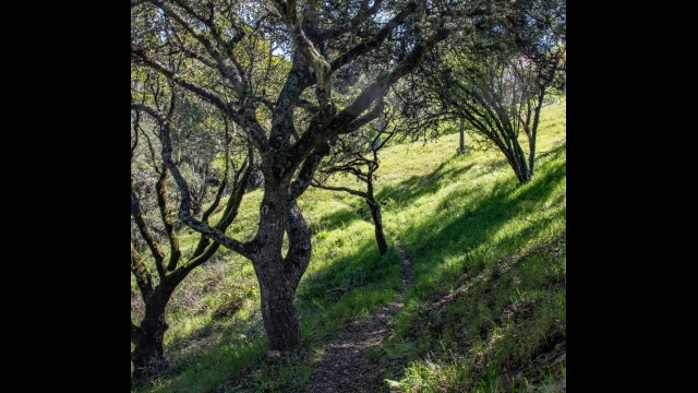 Trail near 4a