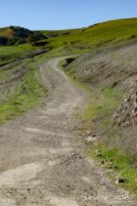 Fire road up the hill at the start of the hike