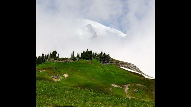 Looking up Paradise Meadow towards the elusive Mount Rainier Mount Rainier