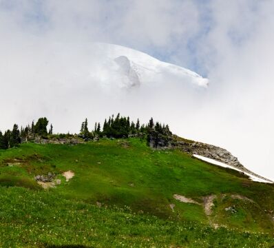 Looking up Paradise Meadow towards the elusive Mount Rainier Mount Rainier
