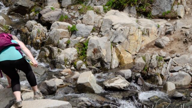 Past Myrtle Falls, you do have to pick your way across the creek Skyline Trail