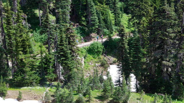 Looking down on the Skyline trail from the Deadhorse Creek trail Mount Rainier Deadhorse Creek Wildflowers