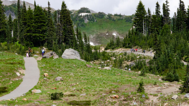 The Skyline trail heading up on the right, and the Deadhorse Creek trail headingdown on the left Mount Rainier Deadhorse Creek Wildflowers