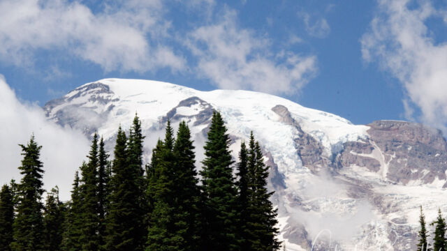 Another view of Mount Rainier in the clouds, from the lower end of the trail Mount Rainier Deadhorse Creek Wildflowers