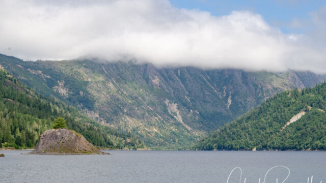 Hummock in the lake. View from the boardwalk Coldwater Lake, Mount St. Helens