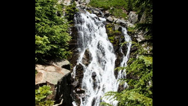 on the Skyline trail Myrtle Falls