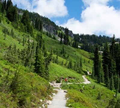 Past Myrtle Falls, crushed rock instead of pavement Skyline Trail
