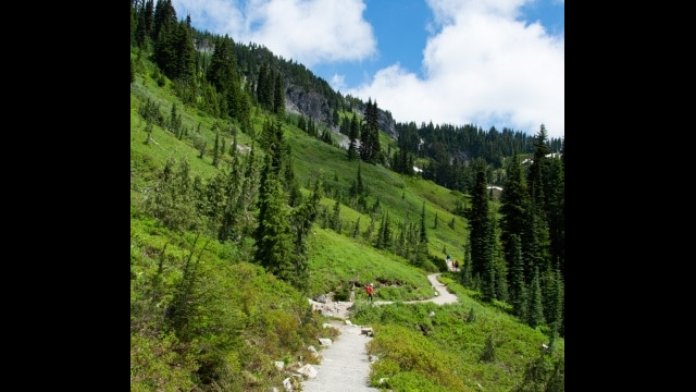 Past Myrtle Falls, crushed rock instead of pavement Skyline Trail