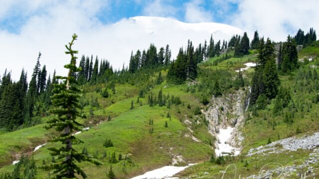The mountain peaking through the clouds, on the Skyline trail Mount Rainier