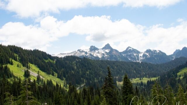 From the left, The Castle, Pinnacle Peak, Plummer Peak Denman Peak, Lane Peak View south from the Skyline trail
