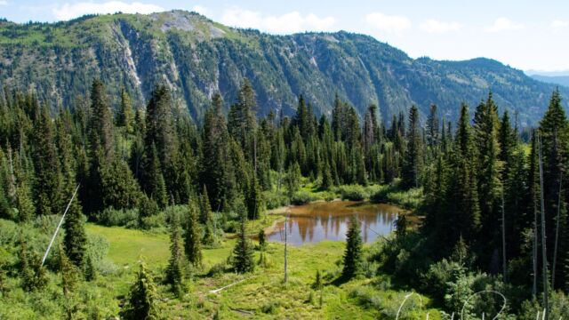 Looking down at what I think is Bench Lake Snow Lake trail