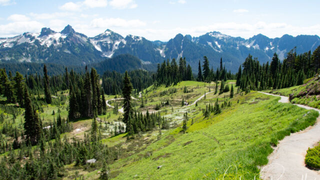 The trail winds down the mountainside, with great views Mount Rainier Deadhorse Creek Wildflowers