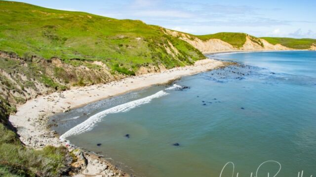 Elephant seal beach at Chimney Rock in Pt Reyes