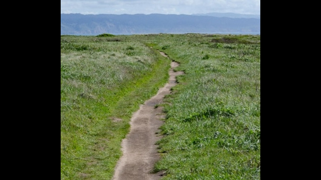 Chimney Rock trail at Pt Reyes