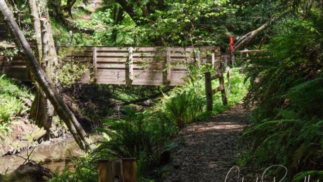 Bridge over Devil's Gulch