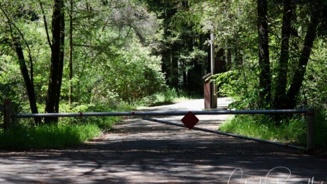 Look for this to start the trail along Lagunitas Creek Camp Taylor trailhead