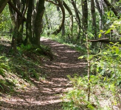 Gravesite trail near Devil's Gulch