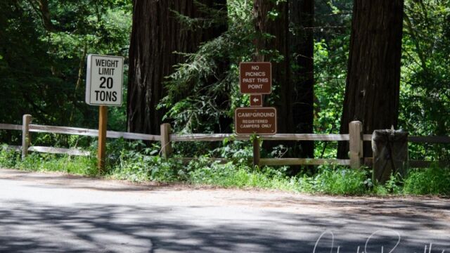 Laugnitas Creek trail is to the right of this sign Camp Taylor