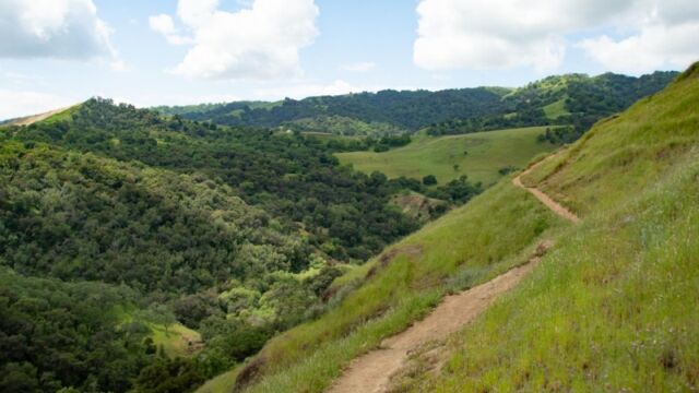 This section is where we found the Butterfly mariposa lilies Canyon View Trail