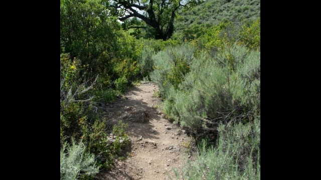 Heading up the McCorkle trail