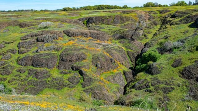 Ravine northwest of the parking lot North Table Mountain