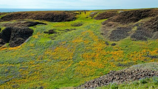 Ravine northwest of the parking lot North Table Mountain