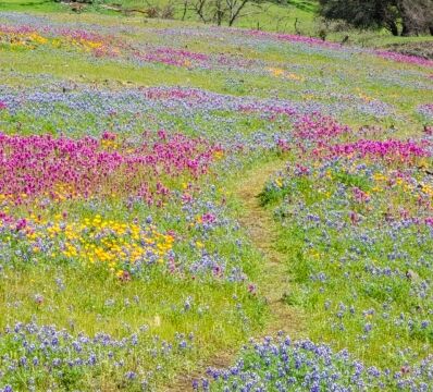 North Table Mountain