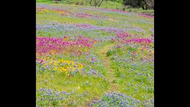 North Table Mountain