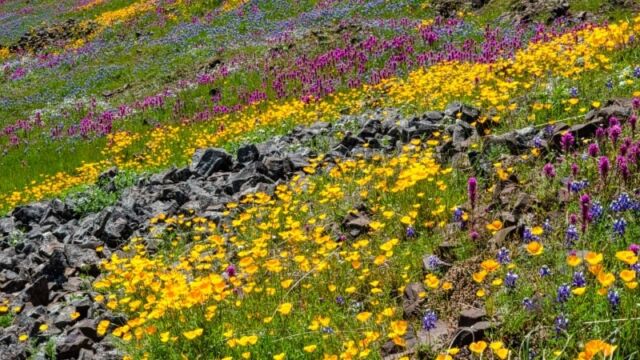 North Table Mountain