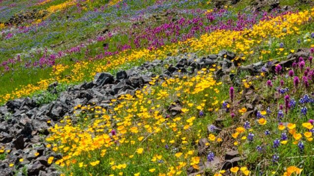 North Table Mountain