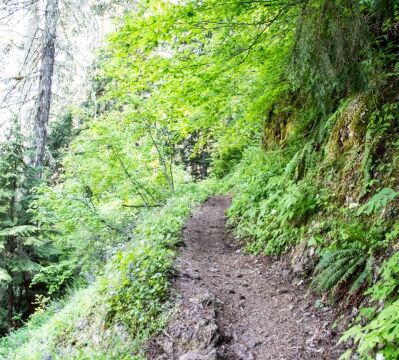 Some sections traverse steep cliffs. Hard to get off the trail for mountain bikers, but the trail is well maintained Tire Mountain trail