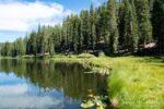 The "lake edge" is actually a floating sphagnum fen Willow Lake