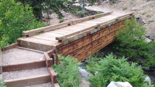 The second bridge, just past the falls. where you'll find penstemon Mill Creek Falls trail, The second bridge, just past the falls. where you'll find penstemon