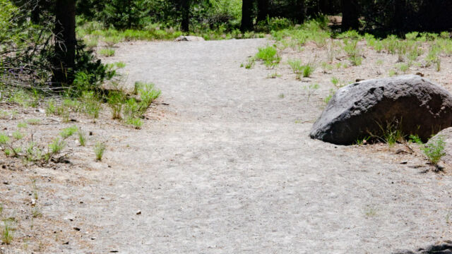 Start of the trail is a slight incline, a broad gravel/sand path Paradise Meadow trail