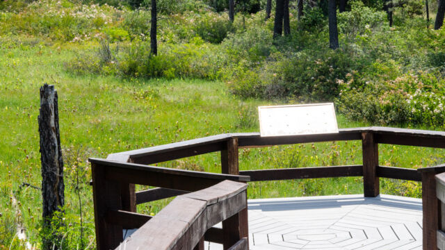 Boardwalk over the fen Eight Dollar Mountain Botanical Wayside. Boardwalk over the fen