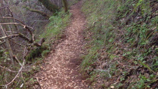 Yolanda Trail Cutoff as you traverse the steeper path to Worn Spring Road Yolanda Trail Cutoff as you traverse the steeper path to Worn Spring Road