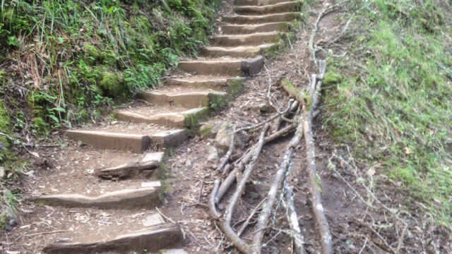 Steps as you go along Phoenix lake Gertrude Orr Trail, steps as you go along Phoenix lake
