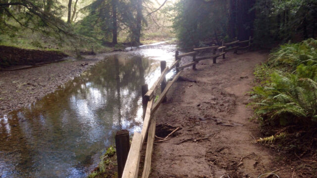 Fish Gulch, as the Gertrude Orr trail meets the Phoenix Lake Road Fish Gulch, as the Gertrude Orr trail meets the Phoenix Lake Road