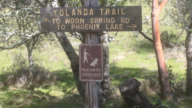 Start of the Yolanda trail, where it joins Hidden Meadow Trail, Six Points Trail, and Bald Hill Trail Start of the Yolanda trail, where it joins Hidden Meadow Trail, Six Points Trail, and Bald Hill Trail