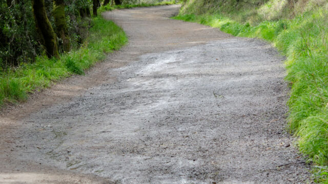 Bill Williams Road along Phoenix Lake