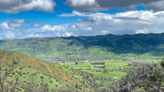 A view of Capay Valley from the burned hillsides on Road 53. Note the Foothill Poppies showing gold on one slope A view of Capay Valley from the burned hillsides on Road 53. Note the Foothill Poppies showing gold on one slope