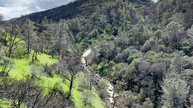 Pierce Canyon Falls