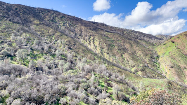 The effects of the County fire of 2018, burning off the top of the ridge The effects of the County fire of 2018, burning off the top of the ridge