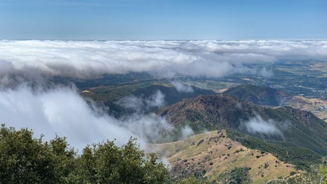 Mount Diablo Mary Bowerman Trail