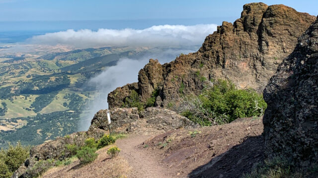 Mt Diablo Mary Bowerman trail